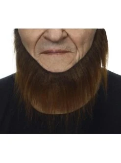 Barba Desaliñada Castaña