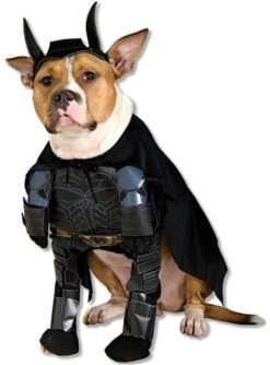 Disfraz De Batman TDK Para Perro