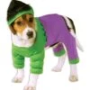 Disfraz De Hulk Para Perro -Tienda De Cosplay disfraz de hulk para perro