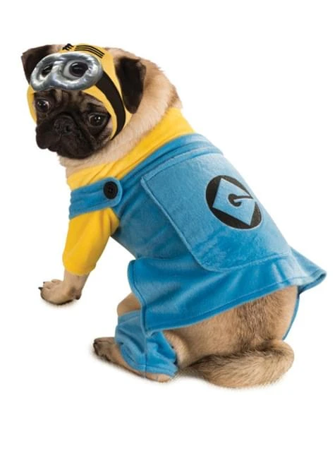 Disfraz De Minion Para Perro 3 Disfraz De Minion Para Perro
