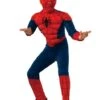 Disfraz De Spiderman Musculoso Premium Para Niño -Tienda De Cosplay disfraz de spiderman musculoso premium para nino