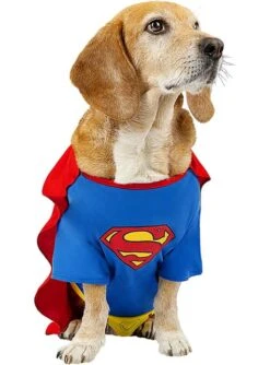 Disfraz De Superman Para Perro