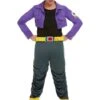 Disfraz De Trunks - Dragon Ball -Tienda De Cosplay disfraz de trunks dragon ball