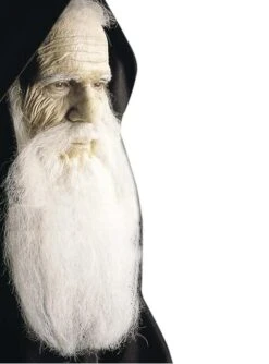 Maquillaje De Carne Artificial