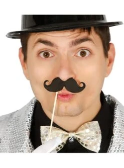 Set De 6 Bigotes Fiesteros Con Palo